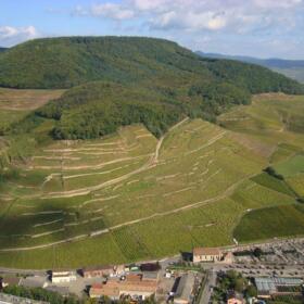 Vigne Grand Cru ensemble Domaines Schlumberger Alsace