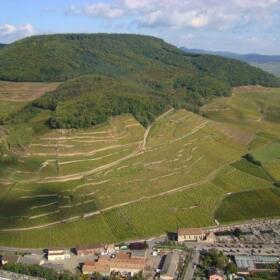 Vigne Grand Cru ensemble Domaines Schlumberger Alsace