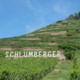 Vigne Domaines Schlumberger Alsace