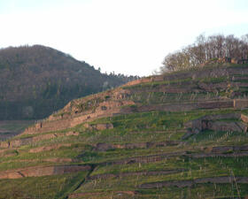 Grand Cru Kitterle Domaines Schlumberger Alsace