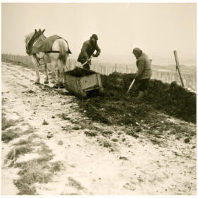 Histoire vigne Domaines Schlumberger Alsace