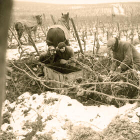 Histoire vigne Domaines Schlumberger Alsace