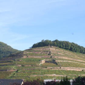 Vigne Grand Cru Kitterle Domaines Schlumberger Alsace