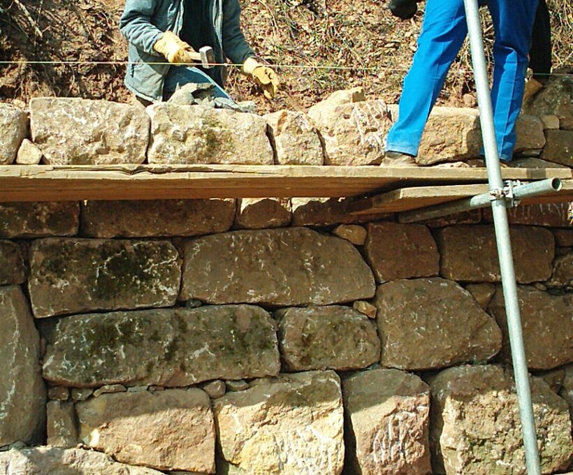 Vigne mur Domaines Schlumberger Alsace