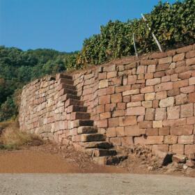 Vigne mur Domaines Schlumberger Alsace