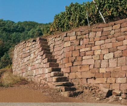 Vigne mur Domaines Schlumberger Alsace