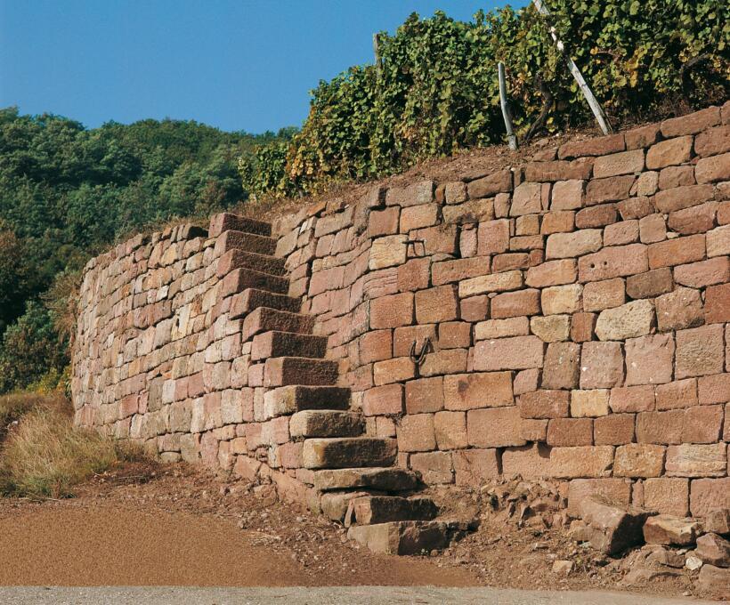 Vigne mur Domaines Schlumberger Alsace