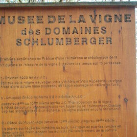 Vigne musee Domaines Schlumberger Alsace