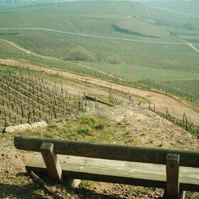 Vigne musee Domaines Schlumberger Alsace