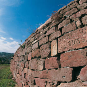 Vigne mur Domaines Schlumberger Alsace