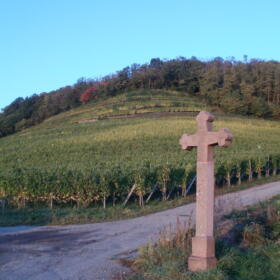 Vigne Croix Domaines Schlumberger Alsace