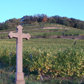 Vigne Croix Domaines Schlumberger Alsace