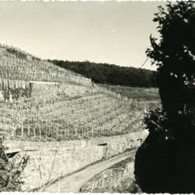 Vigne histoire Domaines Schlumberger Alsace