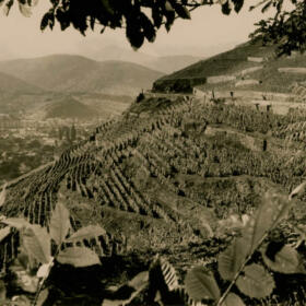 Histoire viticole Schlumberger Vin Alsace