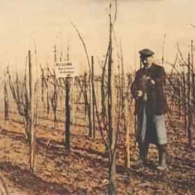 Histoire Culture vigne Domaines Schlumberger Alsace