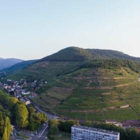 Vigne Visite Aventure Domaines Schlumberger Alsace