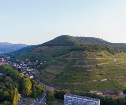 Vigne Visite Aventure Domaines Schlumberger Alsace