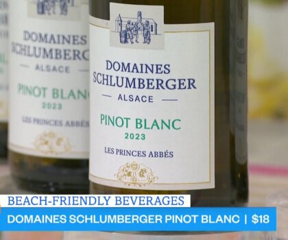 pinotblanc-today